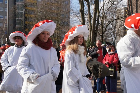 Fliegenpilze
