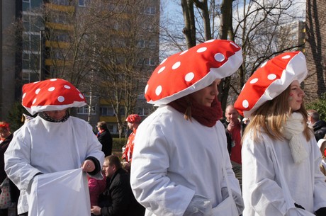 Fliegenpilze