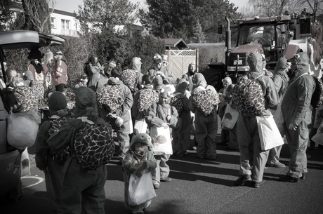 Schildkroetenklasse-4b-Donatusgrundschule