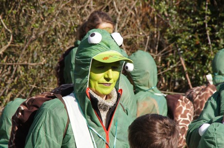 Schildkroetenklasse-4b-Donatusgrundschule