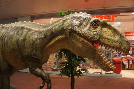 albertosaurus