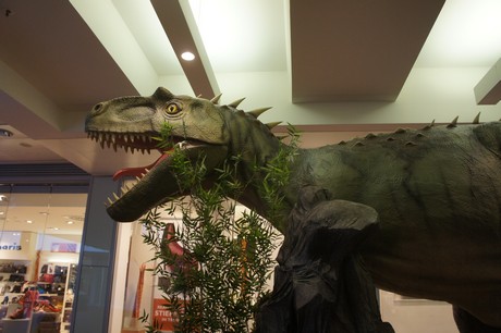 Allosaurus