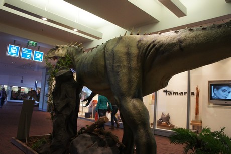 Allosaurus