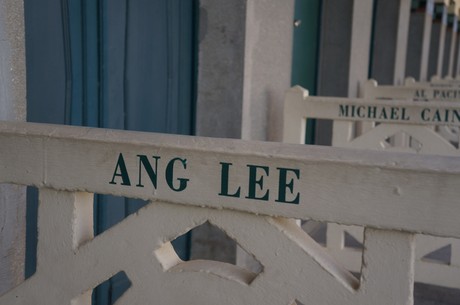 ang-lee