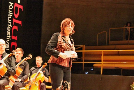 anka-zink