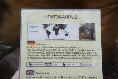 Apatosaurus