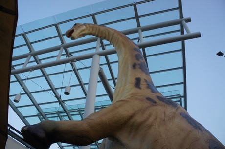 Apatosaurus