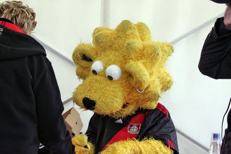 brian-the-lion