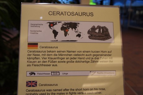 ceratosaurus
