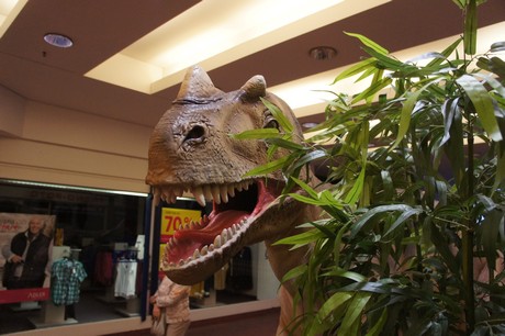 ceratosaurus