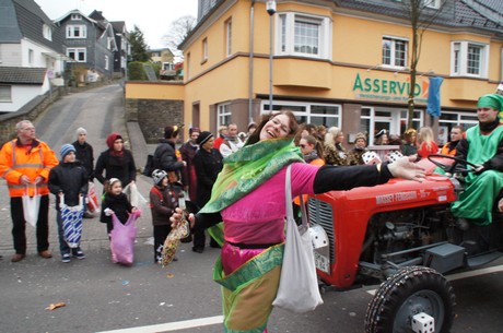 die-sommergriller