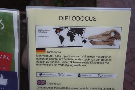 diplodocus
