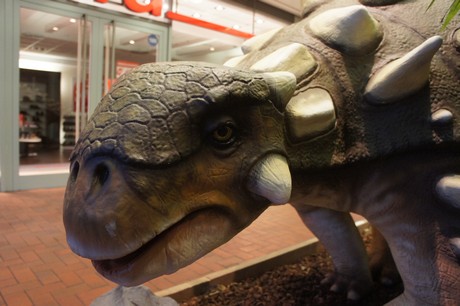 euoplocephalus