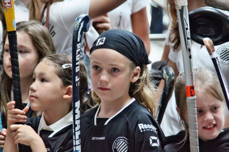 hanni-nanni