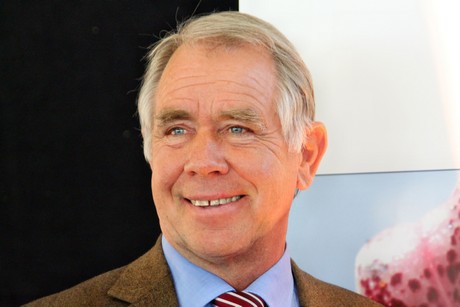 heinz-herker