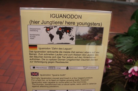 Iguanodon