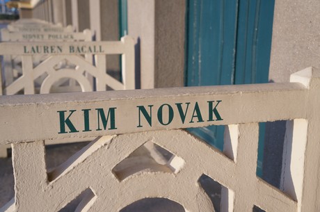 kim-novak