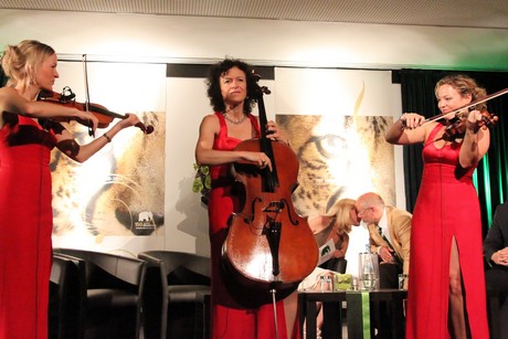 lady-swing-quartett