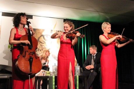 lady-swing-quartett