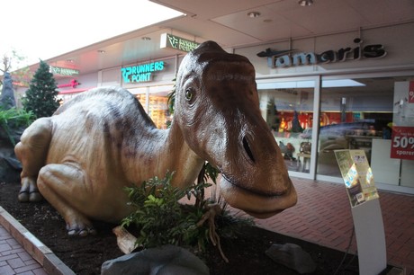 maiasaura