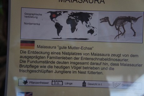 maiasaura