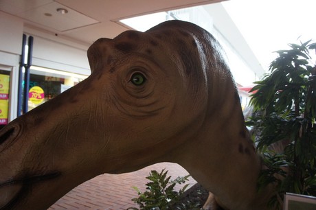 maiasaura