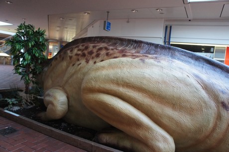 maiasaura