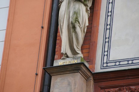 medicina