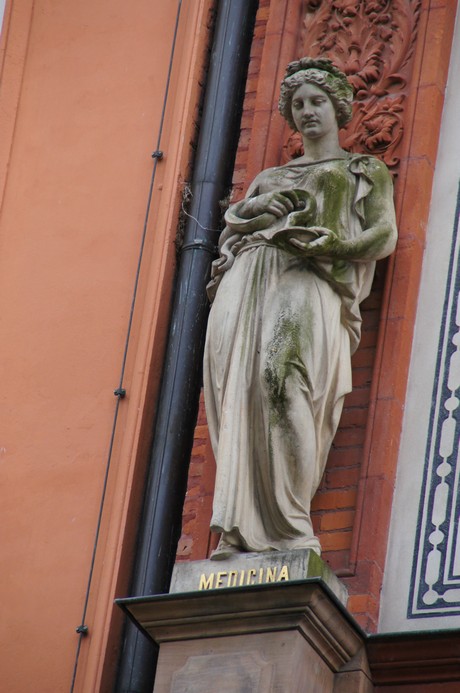medicina