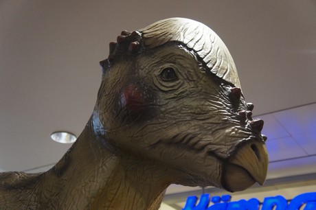 pachycephalosaurus