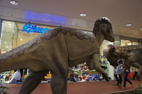 pachycephalosaurus