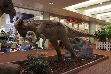 pachycephalosaurus