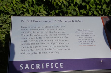 paul-pavey