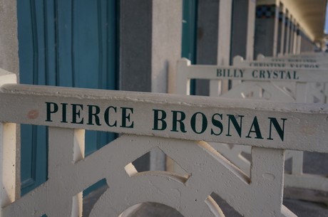 pierce-brosnan