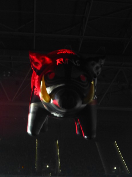roger-waters