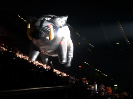 roger-waters