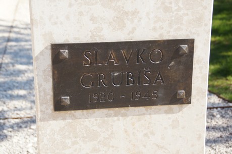 slavko-grubisa