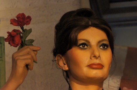 sophia-loren