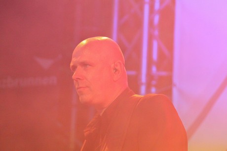 still-collins