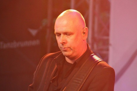 still-collins