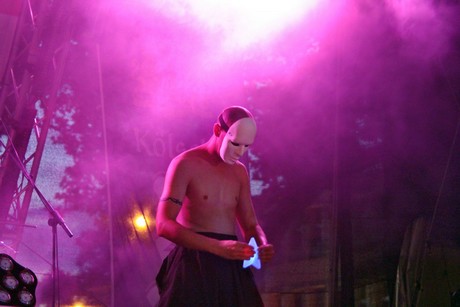 swann