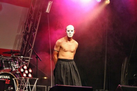 swann