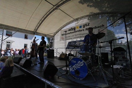 the-tomcats