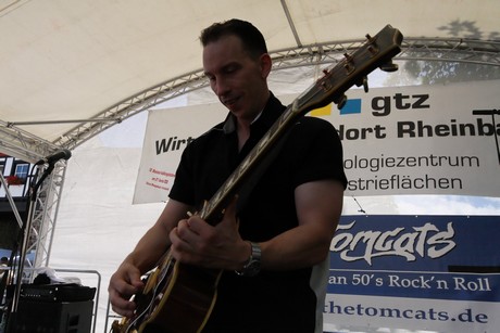 the-tomcats
