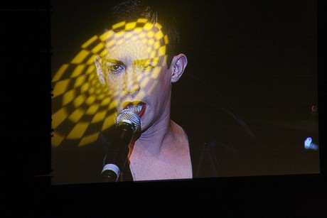 tim-fischer