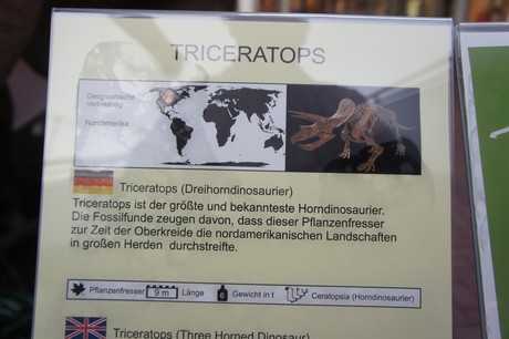 triceratops