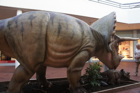 triceratops
