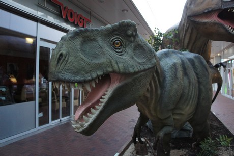 Tyrannosaurus