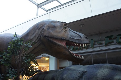 Tyrannosaurus