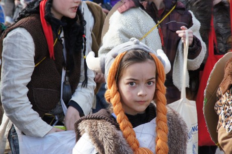 wir-gehen-auf-wiking